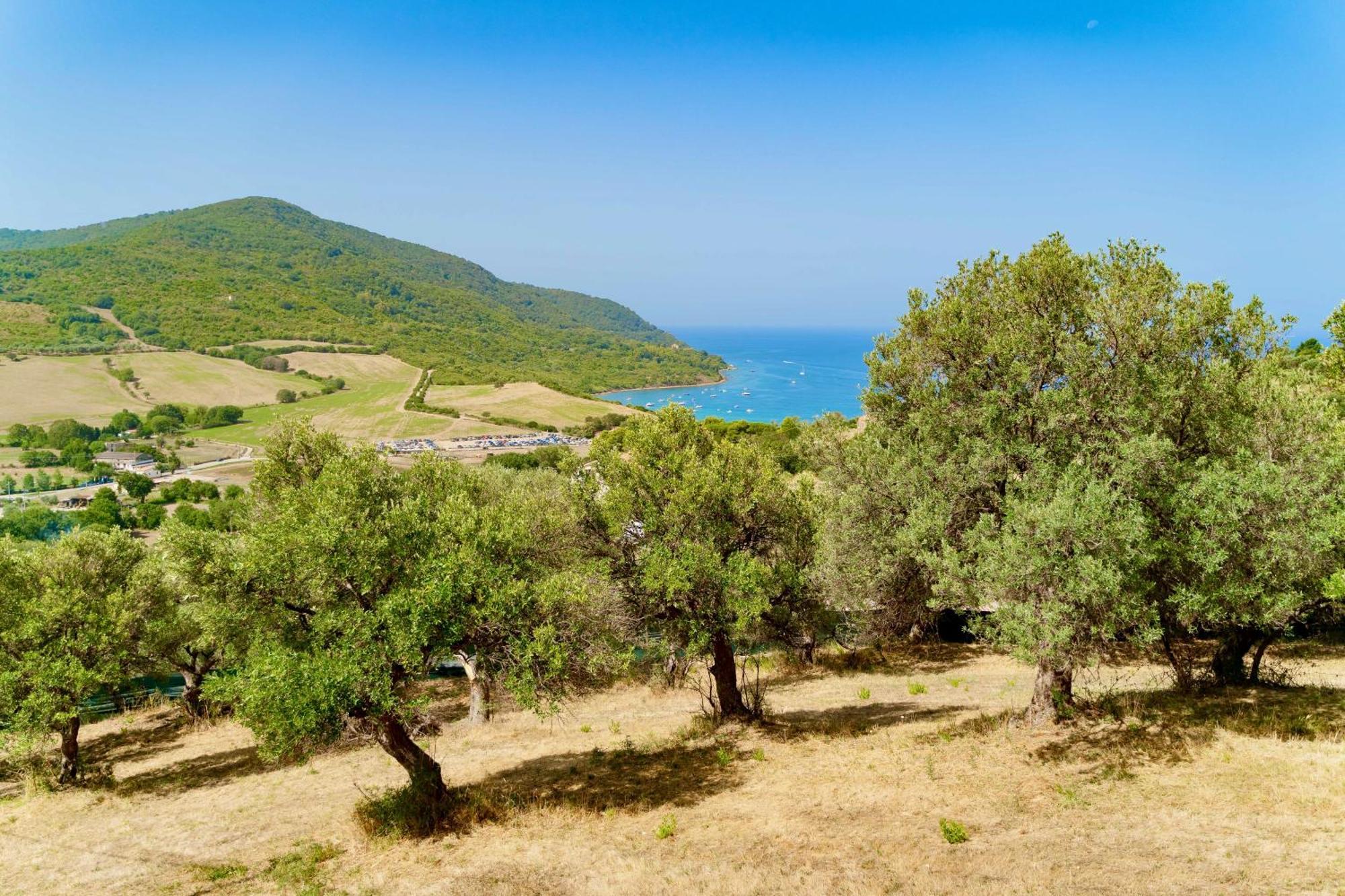 B&B Baia Di Trentova Agropoli Eksteriør billede